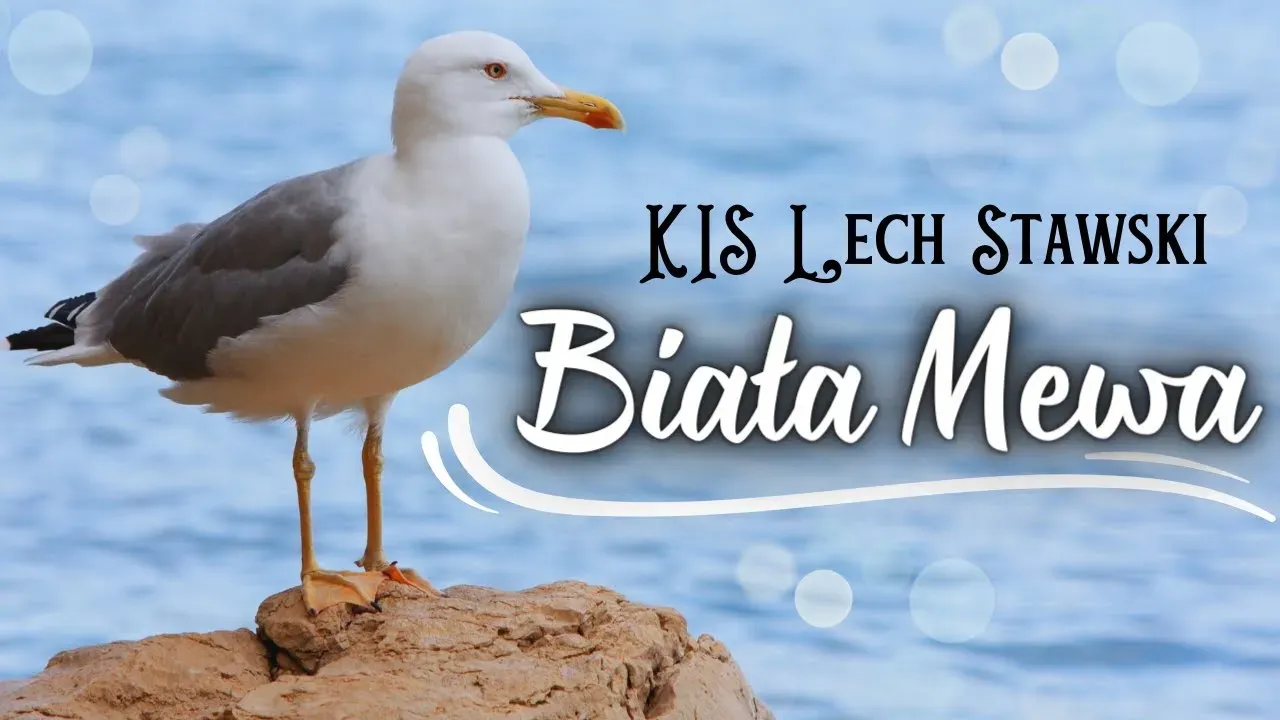 Arek Kopaczewski & Loki - Biała mewa